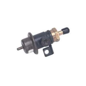 Fuel Injection Pressure Regulator