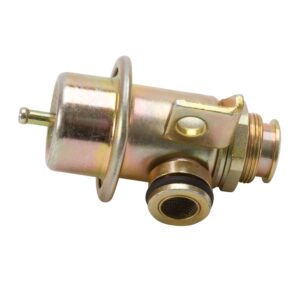 Fuel Injection Pressure Regulator