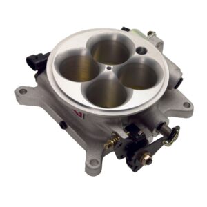 Fuel Injection Throttle Body