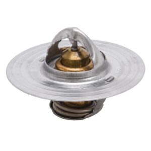 Engine Coolant Thermostat