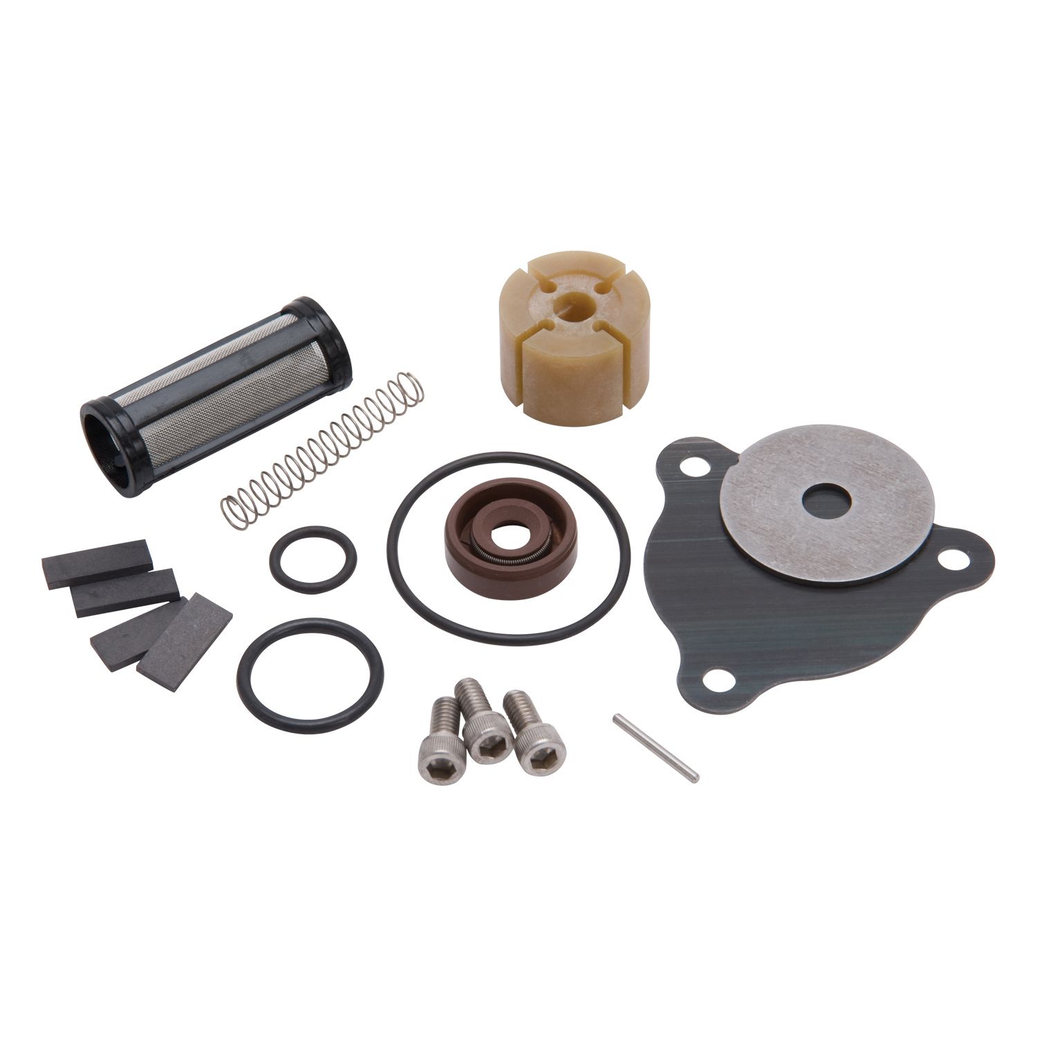 Electric Fuel Pump Repair Kit