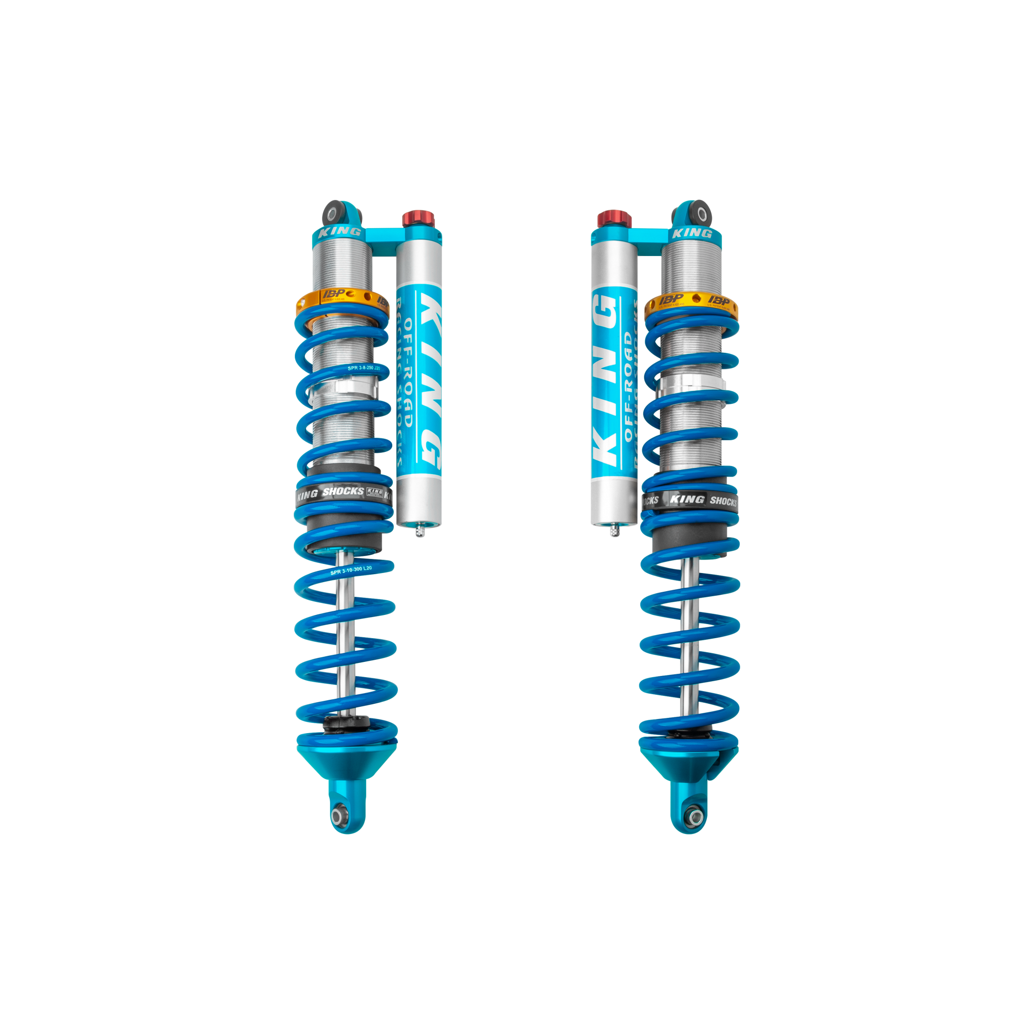 HONDA TALON 1000X, 2/4 SEAT 19+