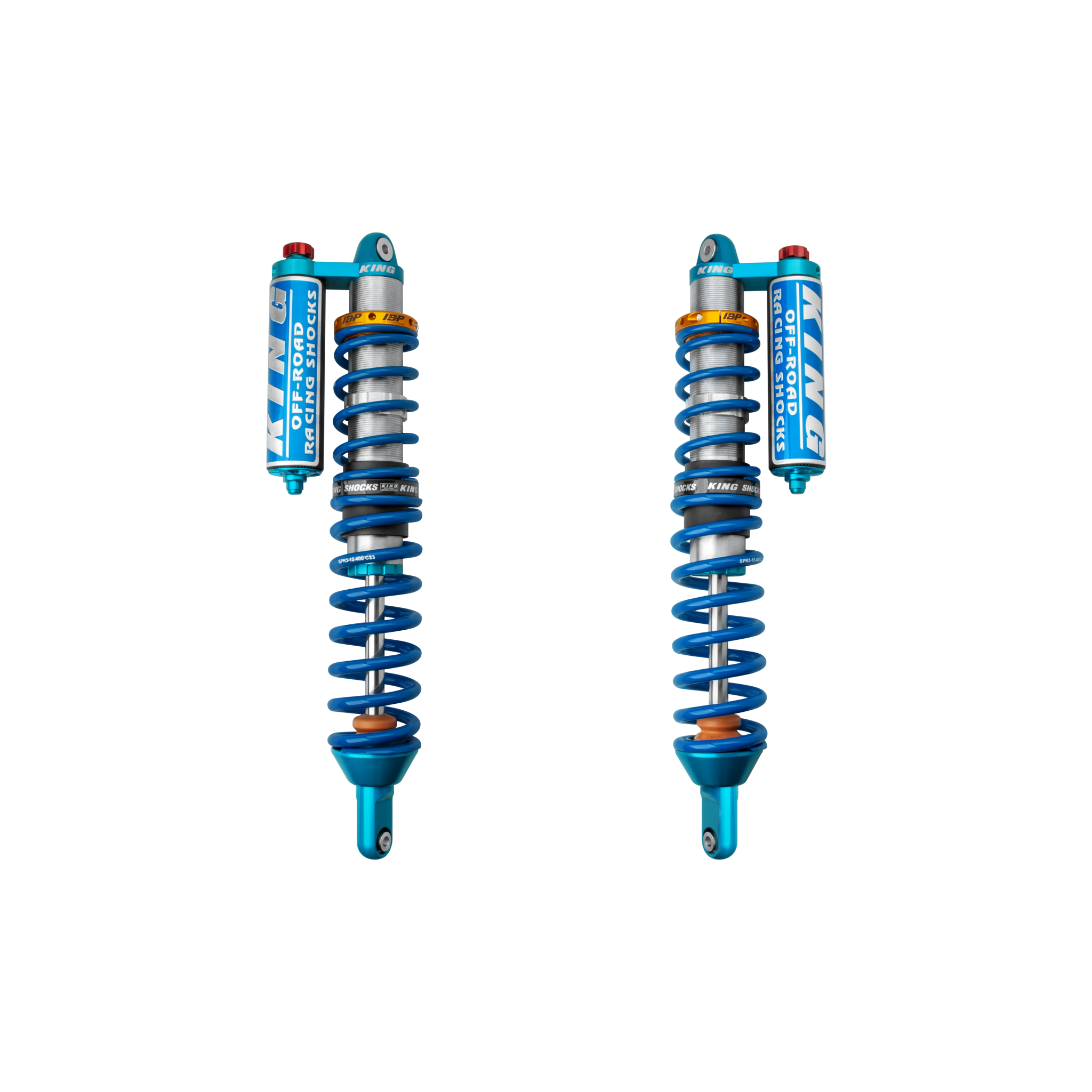 HONDA TALON 1000X, 2/4 SEAT 19+