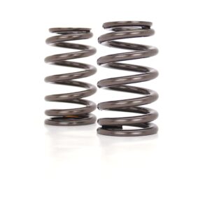 Beehive LS6+ Valve Spring for GM LS Engines