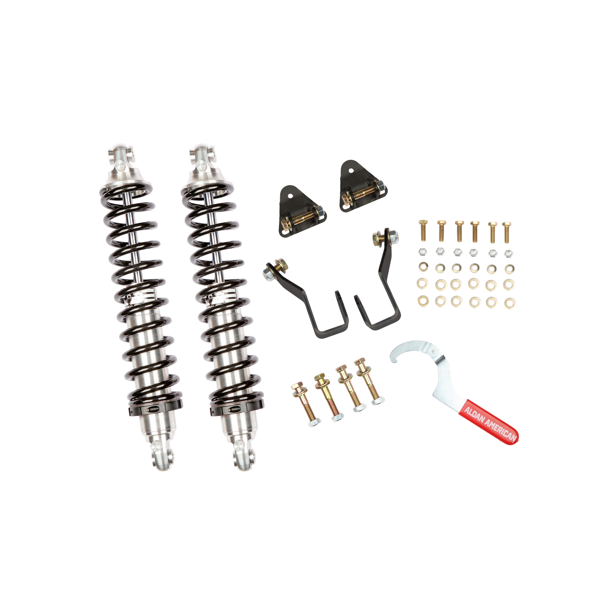 Aldan American Coil-Over Kit, GM Track Comp Series Coilover Kits  - 300388
