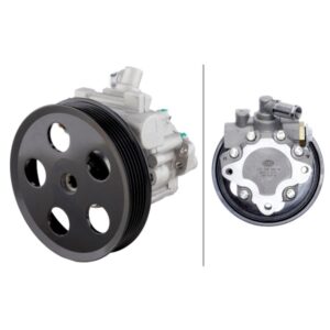 HELLA Power Steering Pump 359000281