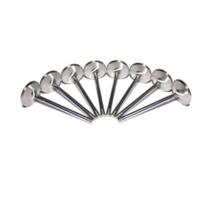 Sportsman Stainless Intake Valve Set GM LS w/ 2.055" Head, 4.900" Length