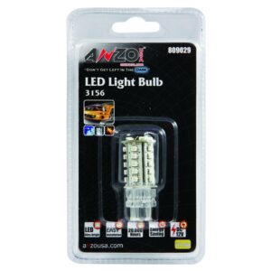 LED Replacement Bulb