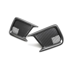 FOG LIGHT SURROUNDS (pair)