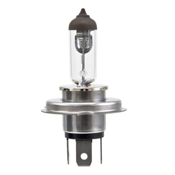 HELLA Multi-Purpose Light Bulb H4 100/80W