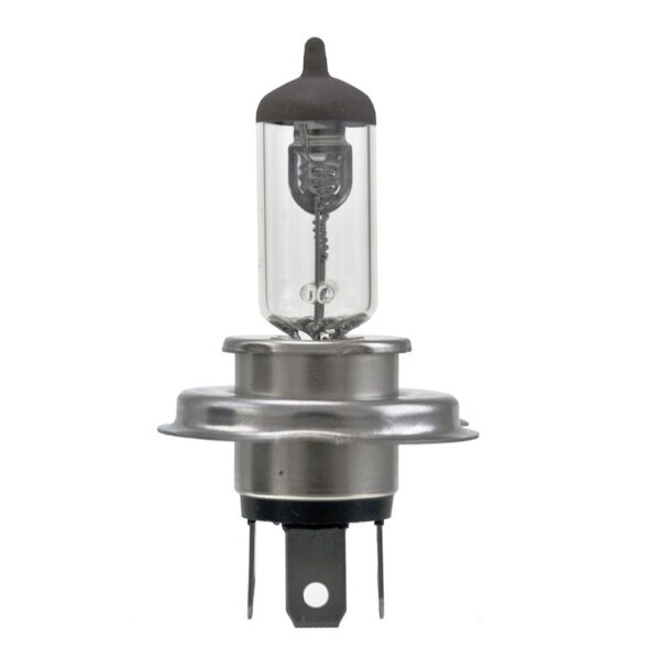 HELLA Multi-Purpose Light Bulb H4 24V 100/90W