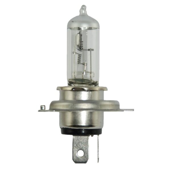 HELLA Multi-Purpose Light Bulb H4 24V DP