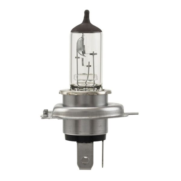 HELLA Multi-Purpose Light Bulb H4 45/45W
