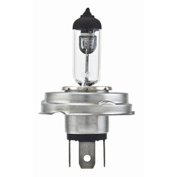 HELLA Multi-Purpose Light Bulb H4 P45T