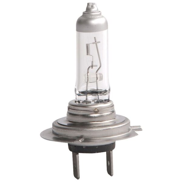 Bulb, headLight                      8GH