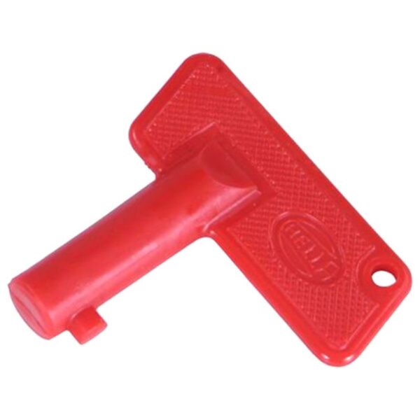 HELLA Vehicle Key H84960021