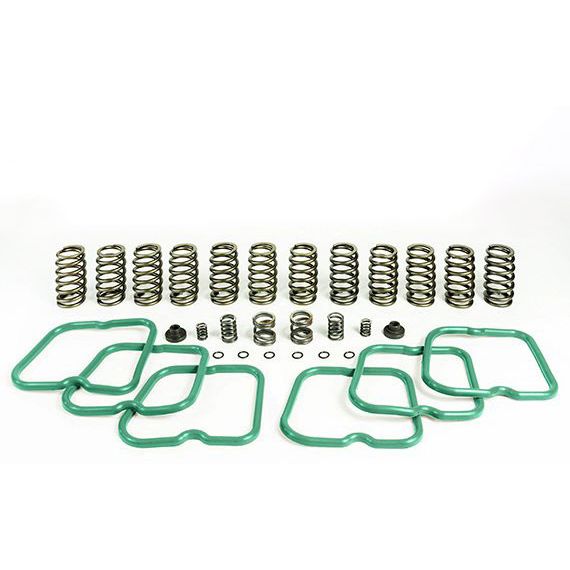 Premium Spring 12 Springs For 94-98 Ram 2500/3500 P7100 Injection Pump