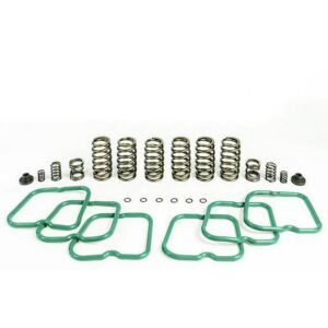 Premium Spring 6 Springs For 94-98 Ram 2500/3500 P7100 Injection Pump
