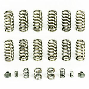 Spring 12 HD Valve Springs For 94-98 Ram 2500/3500 W/ P7100 Injection Pump