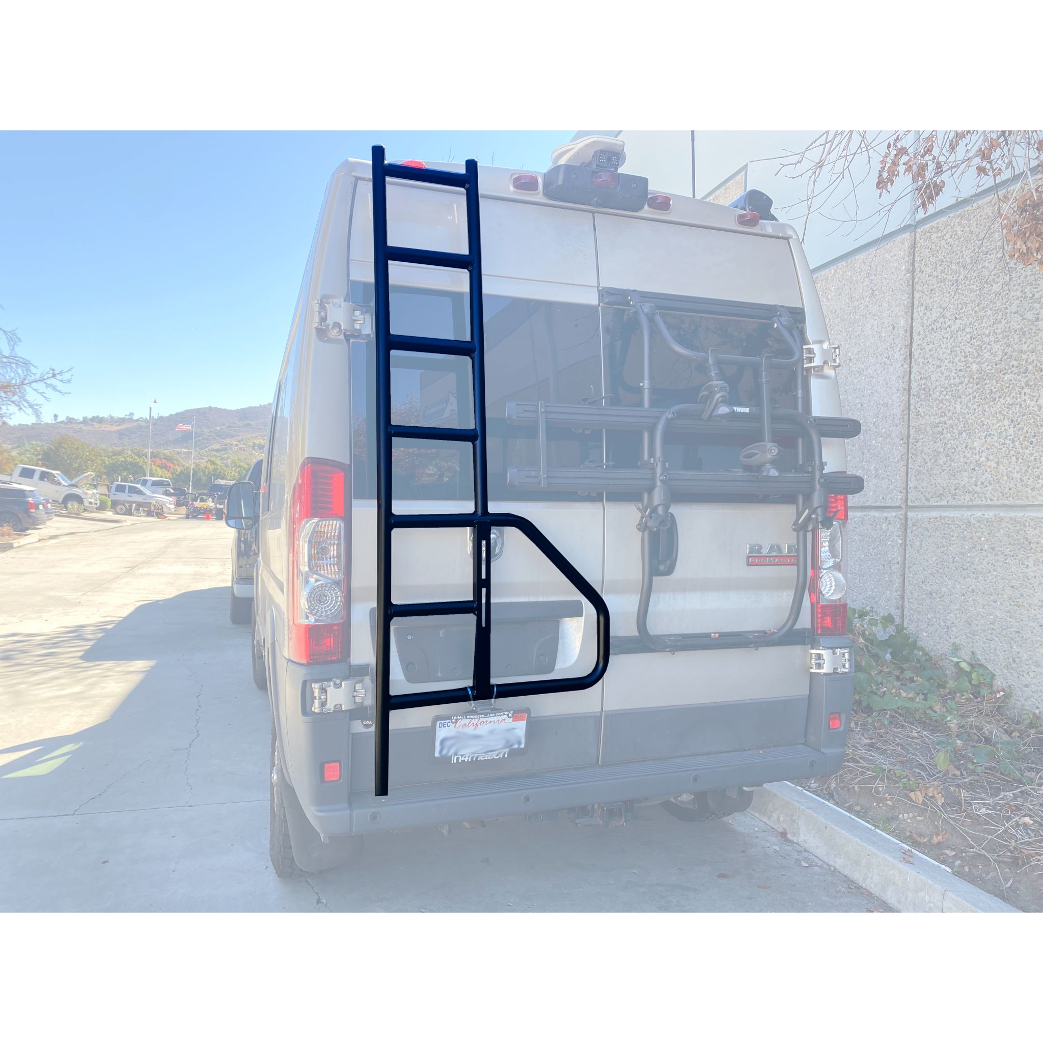 Rear Door Ladder