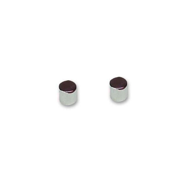 MAGNET KIT, (QTY. 2 RARE EARTH MAGNETS FOR RPM SENSOR)