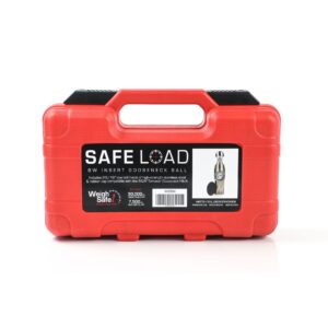 BW Safe Load Carrying Case