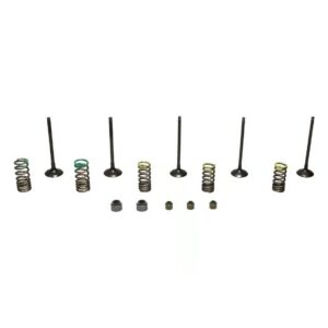 Wiseco Powersports Wiseco Steel Valve Set YZ250F '01-13