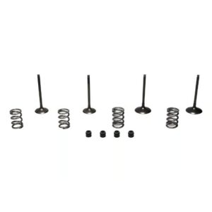 Wiseco Powersports Wiseco Steel Valve Set RM-Z450 '05-06