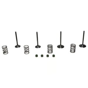 Wiseco Powersports Wiseco Steel Valve Set LT-R450 '06-11