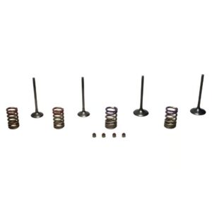 Wiseco Powersports Wiseco Steel Valve Set KX250F '09-10