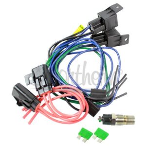 Dual Relay With Temperature Switch