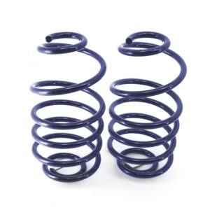 Rear dual rate springs, 2" lowering for 1968-1972 GM A-Body.