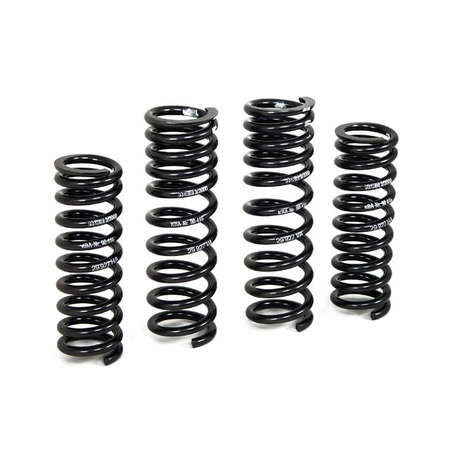 H&R Special Springs Sport Spring Kit