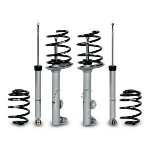 H&R Special Springs Sport Cup Kit