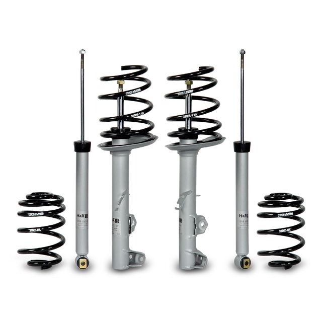 H&R Special Springs Sport Cup Kit