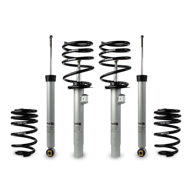H&R Special Springs Sport Cup Kit