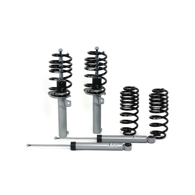 H&R Special Springs Sport Cup Kit